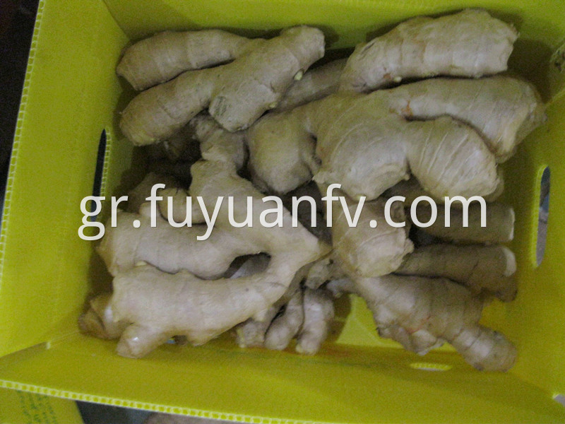 5kg air dried ginger 